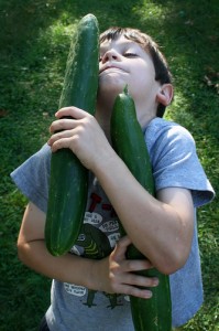 We can eat monster cucumbers on the low oxalate diet