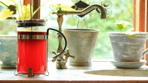 Low Oxalate Red Bush Tea