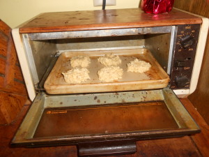 toaster oven cookies