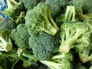 low oxalate broccoli 